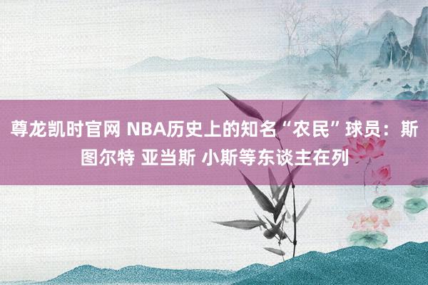 尊龙凯时官网 NBA历史上的知名“农民”球员：斯图尔特 亚当斯 小斯等东谈主在列