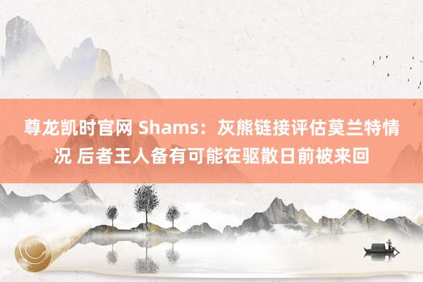 尊龙凯时官网 Shams：灰熊链接评估莫兰特情况 后者王人备有可能在驱散日前被来回
