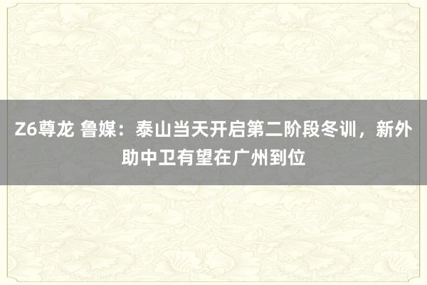 Z6尊龙 鲁媒：泰山当天开启第二阶段冬训，新外助中卫有望在广州到位