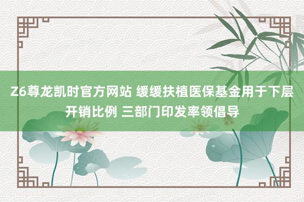 Z6尊龙凯时官方网站 缓缓扶植医保基金用于下层开销比例 三部门印发率领倡导