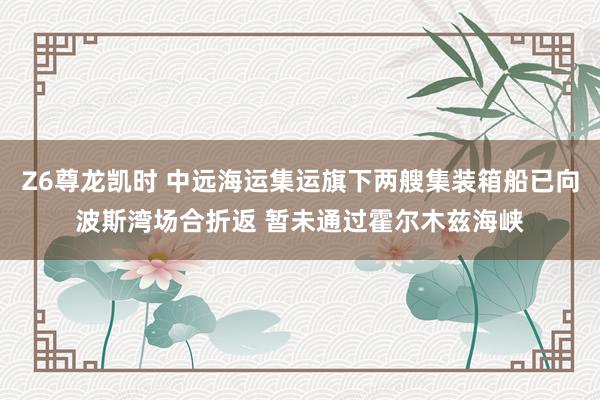 Z6尊龙凯时 中远海运集运旗下两艘集装箱船已向波斯湾场合折返 暂未通过霍尔木兹海峡