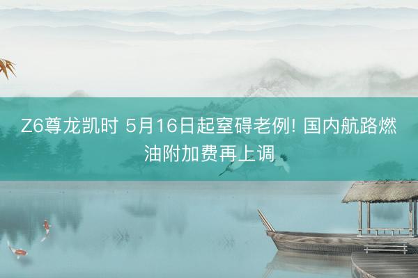 Z6尊龙凯时 5月16日起窒碍老例! 国内航路燃油附加费再上调