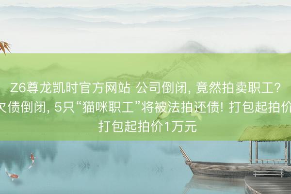 Z6尊龙凯时官方网站 公司倒闭， 竟然拍卖职工? 公司欠债倒闭， 5只“猫咪职工”将被法拍还债! 打包起拍价1万元