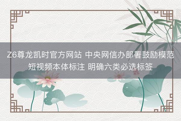 Z6尊龙凯时官方网站 中央网信办部署鼓励模范短视频本体标注 明确六类必选标签