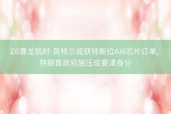 Z6尊龙凯时 英特尔或获特斯拉AI6芯片订单， 特朗普政府施压成要津身分