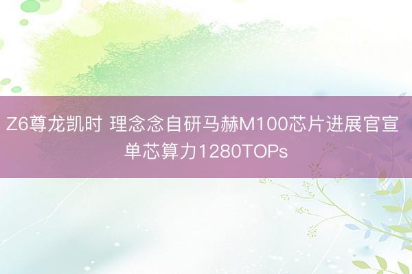 Z6尊龙凯时 理念念自研马赫M100芯片进展官宣 单芯算力1280TOPs