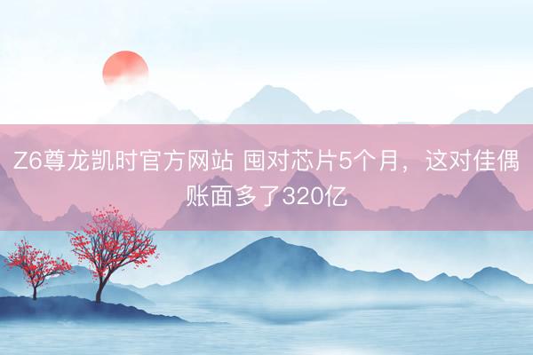 Z6尊龙凯时官方网站 囤对芯片5个月，这对佳偶账面多了320亿