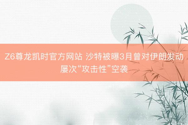 Z6尊龙凯时官方网站 沙特被曝3月曾对伊朗发动屡次“攻击性”空袭