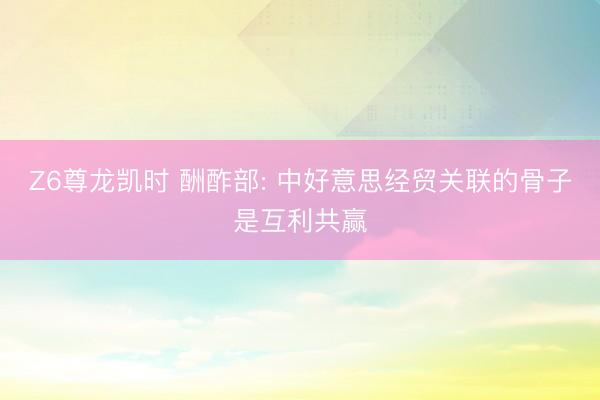 Z6尊龙凯时 酬酢部: 中好意思经贸关联的骨子是互利共赢