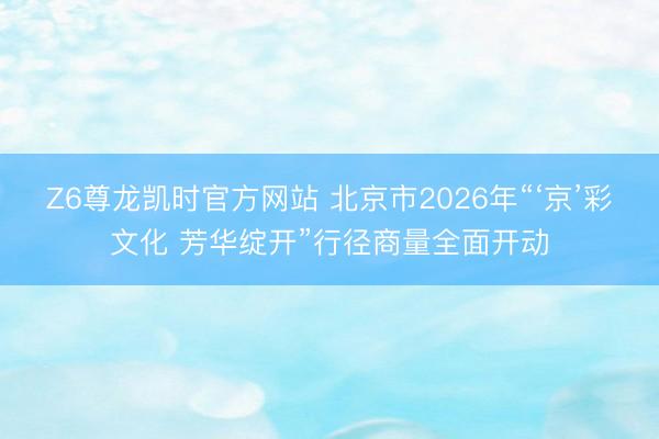 Z6尊龙凯时官方网站 北京市2026年“‘京’彩文化 芳华绽开”行径商量全面开动