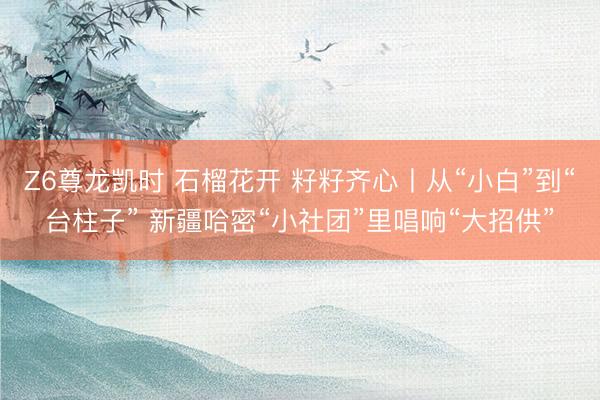 Z6尊龙凯时 石榴花开 籽籽齐心丨从“小白”到“台柱子” 新疆哈密“小社团”里唱响“大招供”