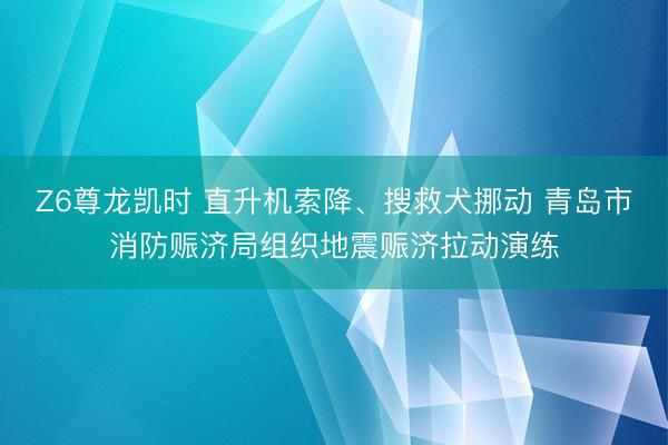 Z6尊龙凯时 直升机索降、搜救犬挪动 青岛市消防赈济局组织地震赈济拉动演练