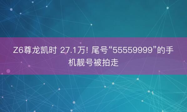 Z6尊龙凯时 27.1万! 尾号“55559999”的手机靓号被拍走