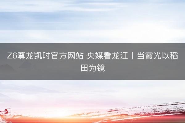 Z6尊龙凯时官方网站 央媒看龙江丨当霞光以稻田为镜