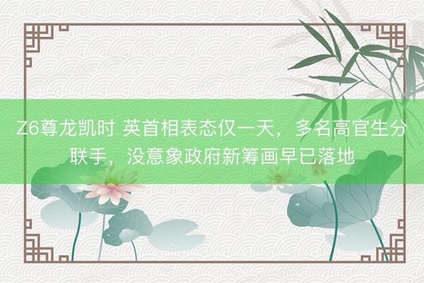 Z6尊龙凯时 英首相表态仅一天，多名高官生分联手，没意象政府新筹画早已落地