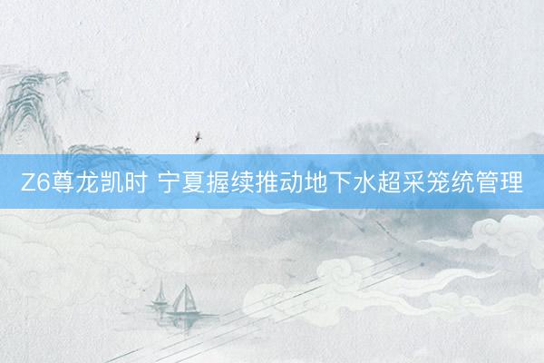 Z6尊龙凯时 宁夏握续推动地下水超采笼统管理