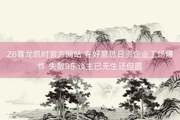 Z6尊龙凯时官方网站 在好意思日资企业工场爆炸 失散9东谈主已无生还但愿