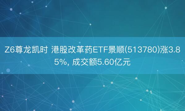 Z6尊龙凯时 港股改革药ETF景顺(513780)涨3.85%， 成交额5.60亿元