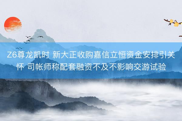Z6尊龙凯时 新大正收购嘉信立恒资金安排引关怀 司帐师称配套融资不及不影响交游试验