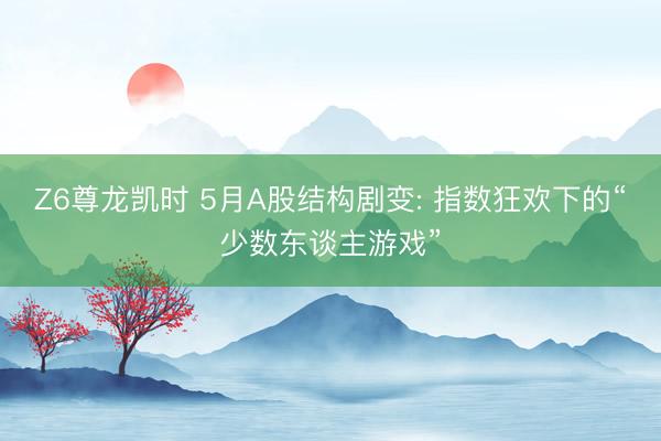 Z6尊龙凯时 5月A股结构剧变: 指数狂欢下的“少数东谈主游戏”