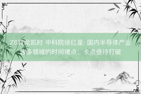 Z6尊龙凯时 中科院徐红星: 国内半导体产业诸多领域的时间堵点、卡点亟待打破