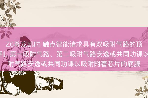 Z6尊龙凯时 触点智能请求具有双吸附气路的顶升装配及固晶拓荒专利, 第一吸附气路、第二吸附气路安逸或共同功课以吸附附着芯片的底膜