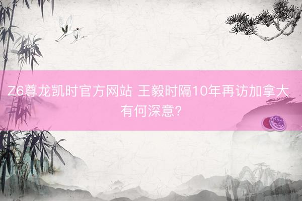 Z6尊龙凯时官方网站 王毅时隔10年再访加拿大 有何深意?