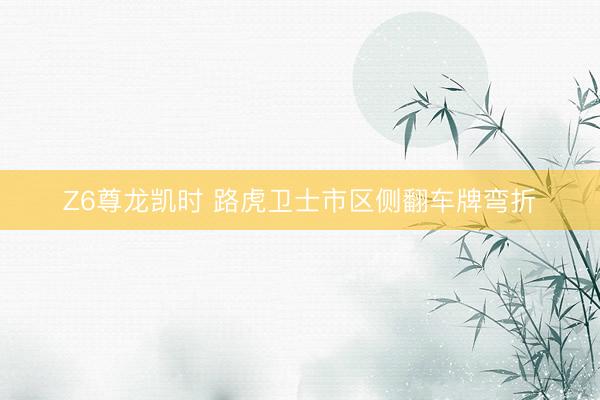 Z6尊龙凯时 路虎卫士市区侧翻车牌弯折