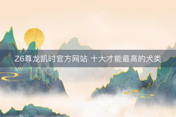 Z6尊龙凯时官方网站 十大才能最高的犬类