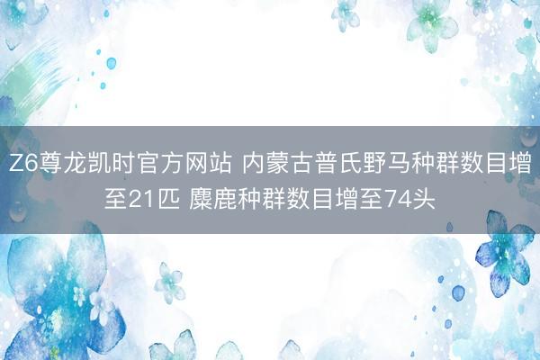 Z6尊龙凯时官方网站 内蒙古普氏野马种群数目增至21匹 麋鹿种群数目增至74头