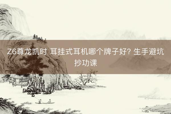 Z6尊龙凯时 耳挂式耳机哪个牌子好? 生手避坑抄功课
