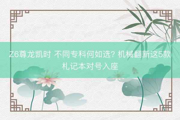 Z6尊龙凯时 不同专科何如选? 机械翻新这5款札记本对号入座