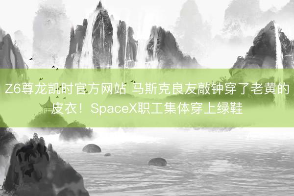 Z6尊龙凯时官方网站 马斯克良友敲钟穿了老黄的皮衣！SpaceX职工集体穿上绿鞋