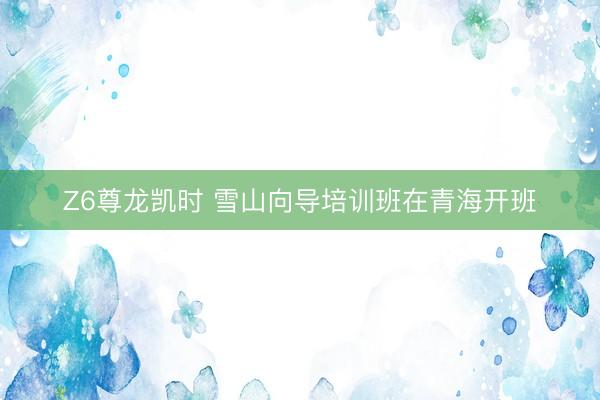 Z6尊龙凯时 雪山向导培训班在青海开班