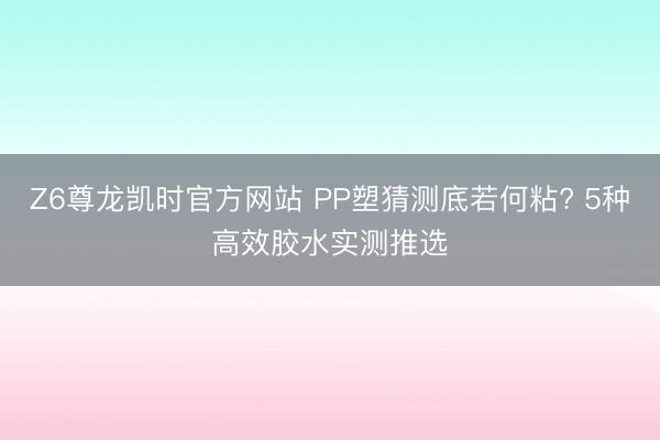 Z6尊龙凯时官方网站 PP塑猜测底若何粘? 5种高效胶水实测推选