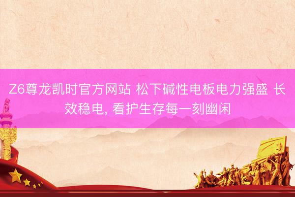 Z6尊龙凯时官方网站 松下碱性电板电力强盛 长效稳电, 看护生存每一刻幽闲