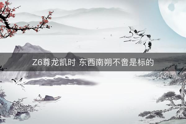Z6尊龙凯时 东西南朔不啻是标的