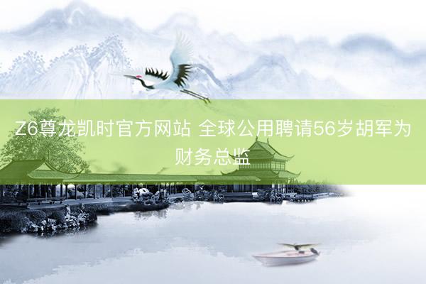 Z6尊龙凯时官方网站 全球公用聘请56岁胡军为财务总监