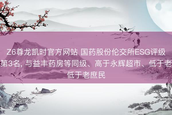 Z6尊龙凯时官方网站 国药股份伦交所ESG评级位列第3名， 与益丰药房等同级、高于永辉超市、低于老庶民