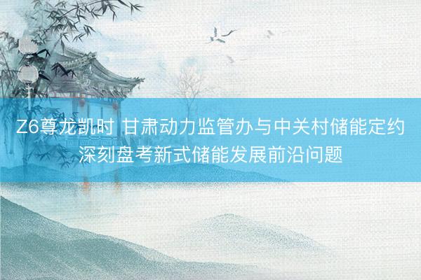 Z6尊龙凯时 甘肃动力监管办与中关村储能定约深刻盘考新式储能发展前沿问题