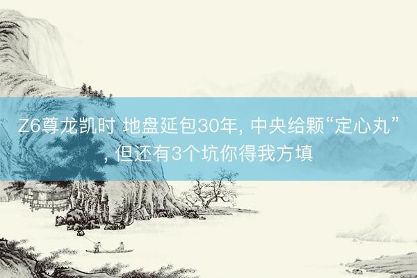 Z6尊龙凯时 地盘延包30年， 中央给颗“定心丸”， 但还有3个坑你得我方填